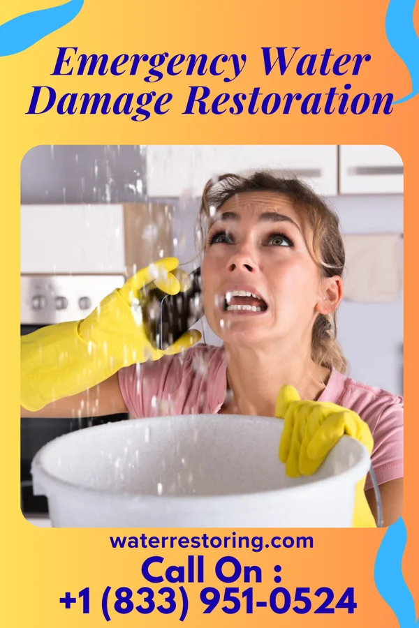 Emergency Water Damage Restoration in Hot Springs, NC