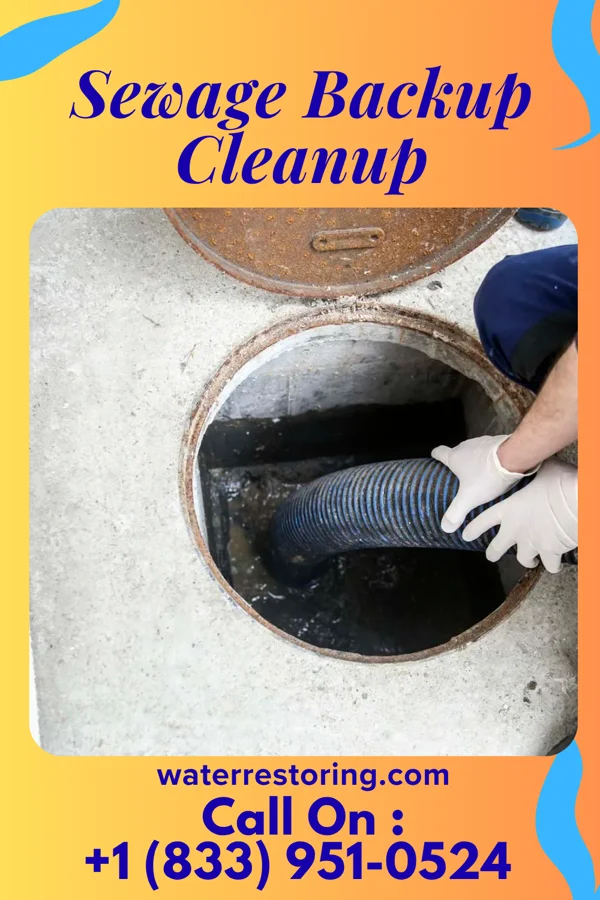 Sewage Backup Cleanup in Hot Springs, NC